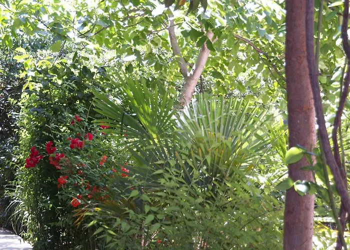 Frank Apartamento Rovinj