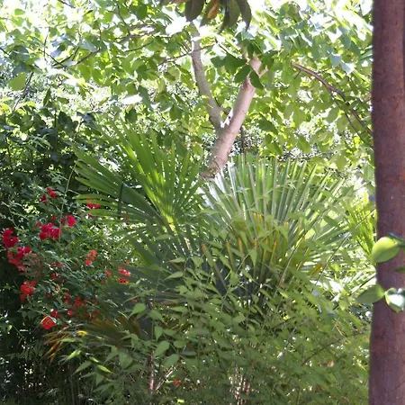 Frank アパート ロヴィニ